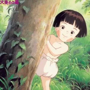 Maison Ghibli Soundtrack Limited edition LP - Grave of the Fireflies | Culture