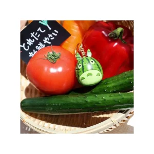 Maison Ghibli Watermelon Keyring - My Neighbor Totoro | Keychains